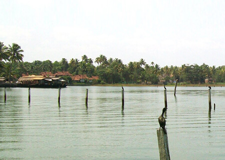 Lilly Ribera Residency